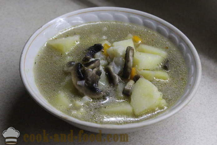 Mag-atas na sopas na may mushroom at kuliplor - kung paano magluto ng sopas na may mushroom, isang hakbang-hakbang recipe litrato