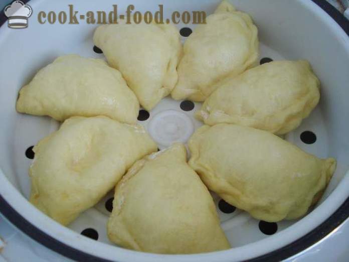 Luntiang steamed dumplings na may cottage cheese - kung paano magluto dumplings steamed sa multivarka, sunud-sunod na recipe litrato