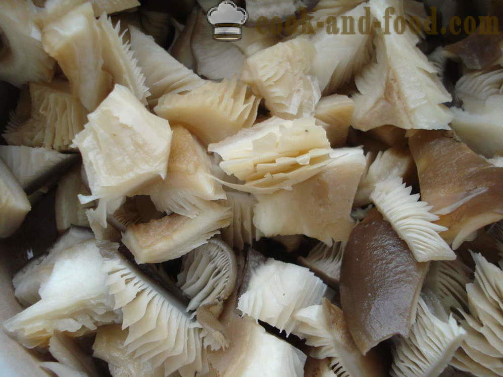 Oyster mushroom pritong may mga sibuyas at pampalasa - kung paano magluto pritong talaba kabute, ang isang hakbang-hakbang recipe litrato