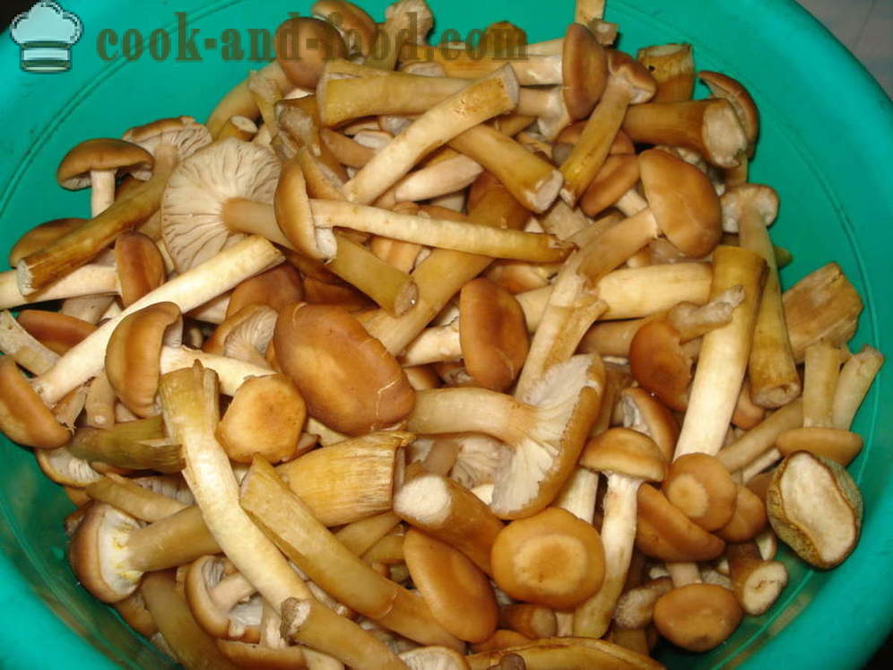 Mushroom spawn - kung paano magluto ng kabute itlog ng isda ng pinakuluang mushroom, hakbang-hakbang recipe litrato
