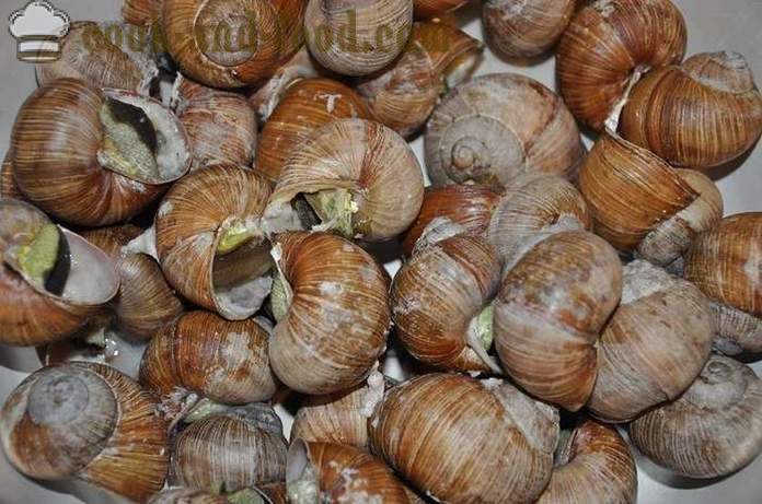 Paghahanda ng mga snails sa bahay - kung paano upang maghanda ng snails masarap na recipe na may larawan