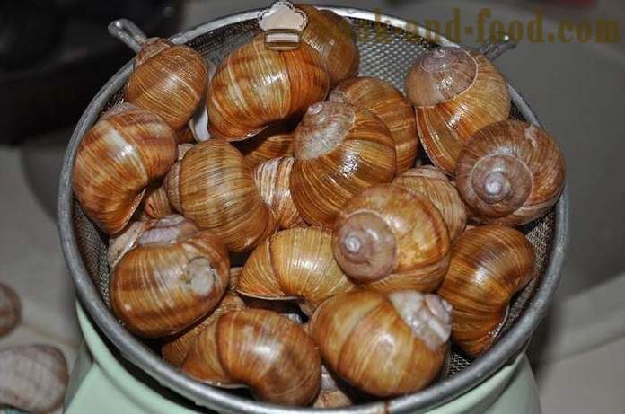 Paghahanda ng mga snails sa bahay - kung paano upang maghanda ng snails masarap na recipe na may larawan