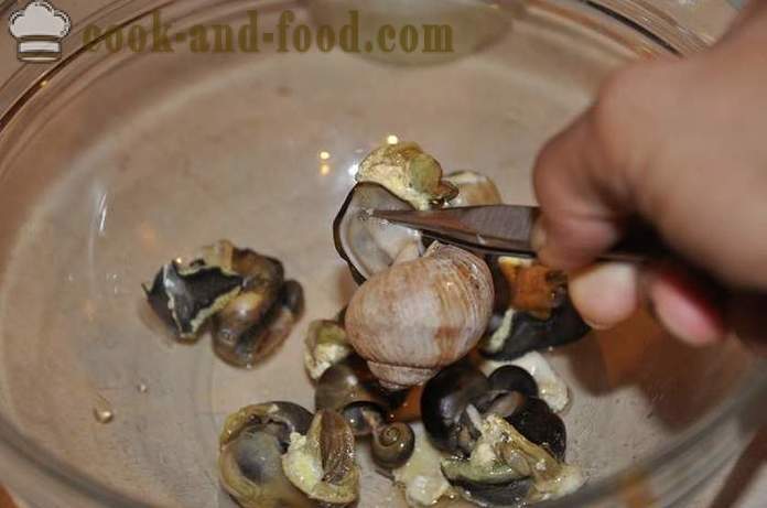 Paghahanda ng mga snails sa bahay - kung paano upang maghanda ng snails masarap na recipe na may larawan