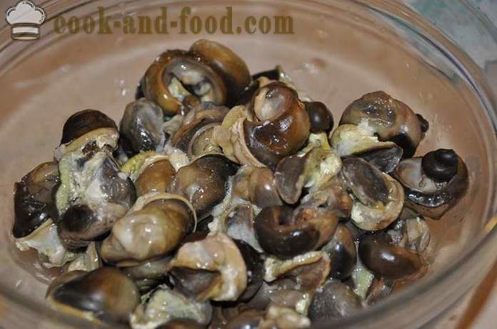 Paghahanda ng mga snails sa bahay - kung paano upang maghanda ng snails masarap na recipe na may larawan