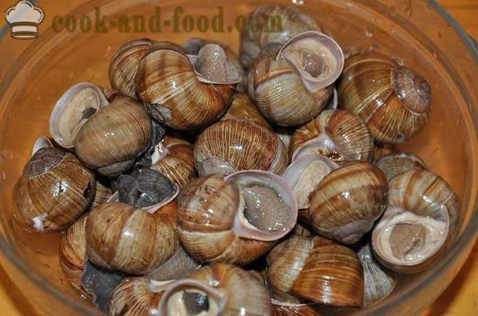 Paghahanda ng mga snails sa bahay - kung paano upang maghanda ng snails masarap na recipe na may larawan