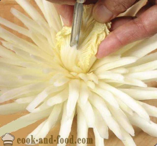 Paghahati para sa mga nagsisimula gulay: Chrysanthemum bulaklak ng Intsik repolyo, mga larawan