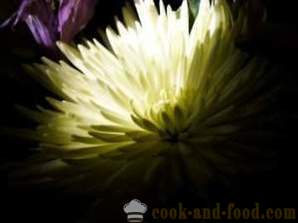 Paghahati para sa mga nagsisimula gulay: Chrysanthemum bulaklak ng Intsik repolyo, mga larawan