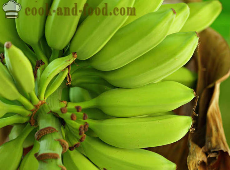 Banana: African at Asian dessert sopas - mga recipe ng video sa bahay
