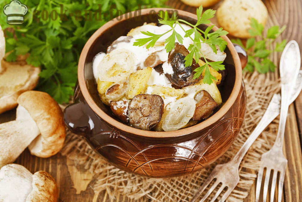 Potato Recipe na may mushroom, nilaga sa isang palayok