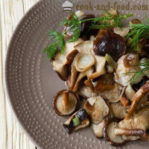 Paano upang magprito sa isang pan masarap na mushroom - mga recipe ng video sa bahay